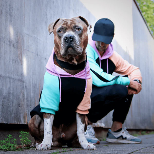 Color Block Dog Hoodie